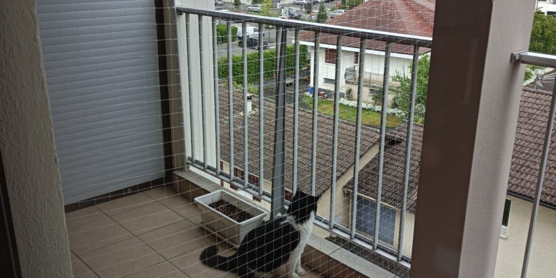 Installation de filets de protection anti chutes pour chats à Annecy