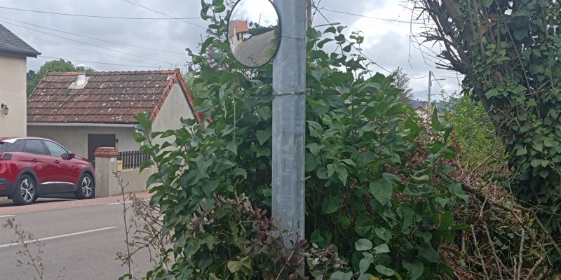 Pose d'un miroir de recul