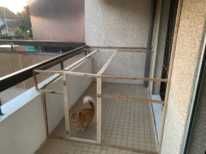 fabrication d'un enclos pour chat sur balcon