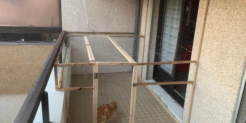 fabrication d'un enclos pour chat sur balcon