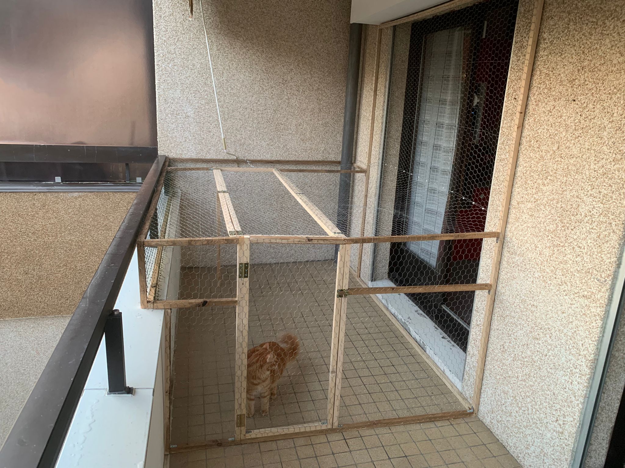 fabrication d'un enclos pour chat sur balcon