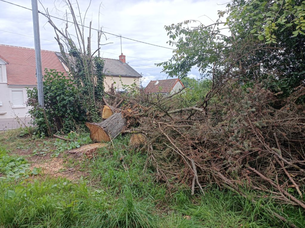 Abattage sapin, rénovation de maison Luzy