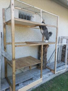 Création d'un box extérieur pour chats